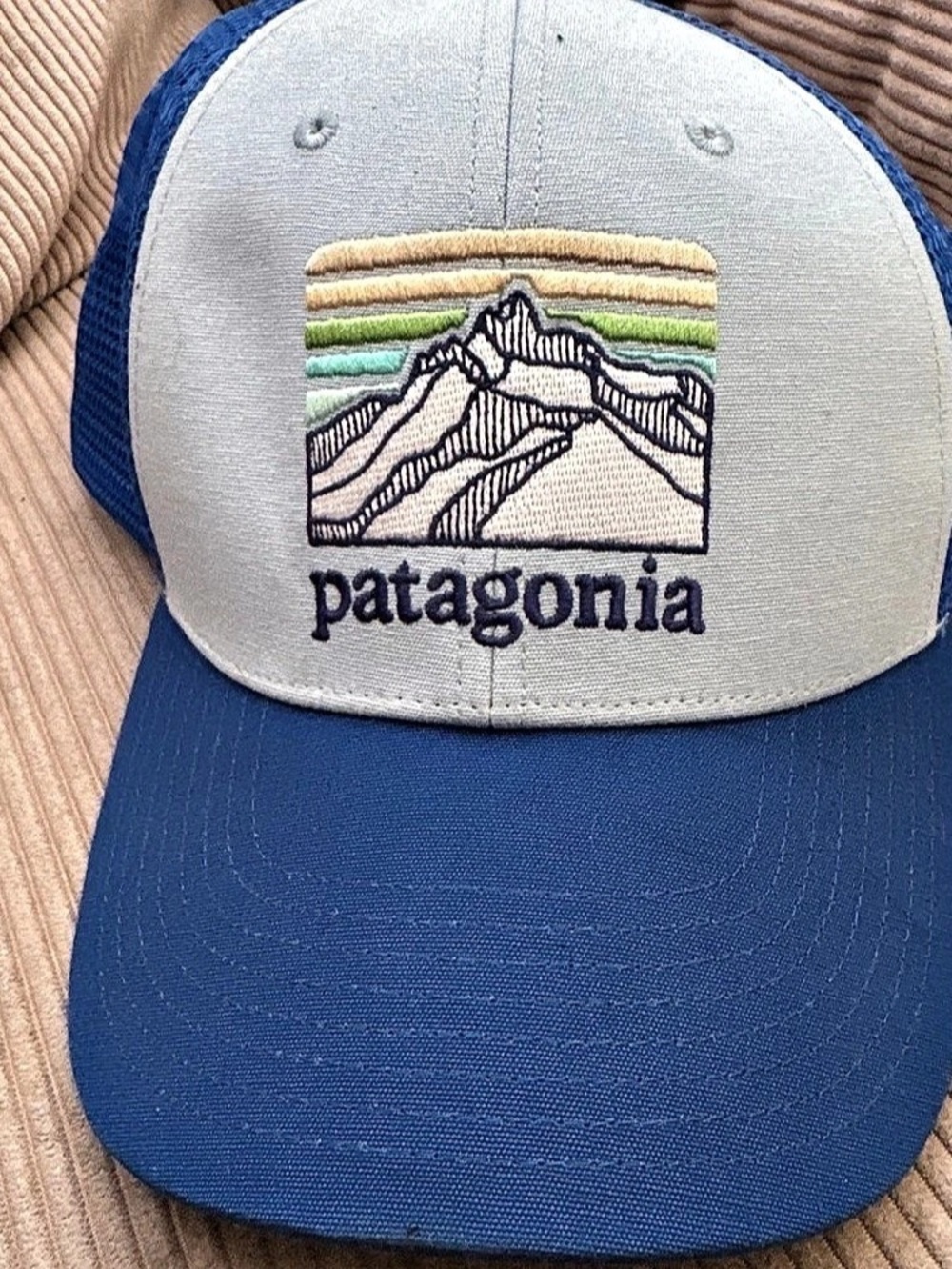 Patagonia Fitz Roy Horizons Trucker Hat Blue & White